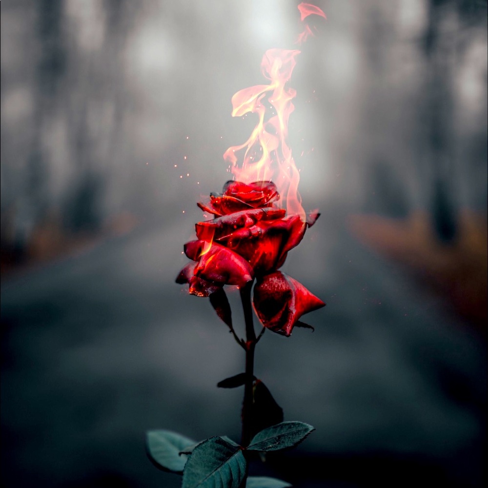 Meet your Posher, Blaze